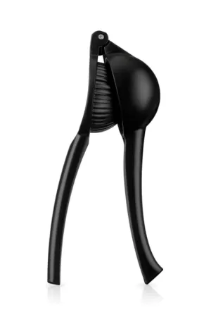 Black Citrus Press