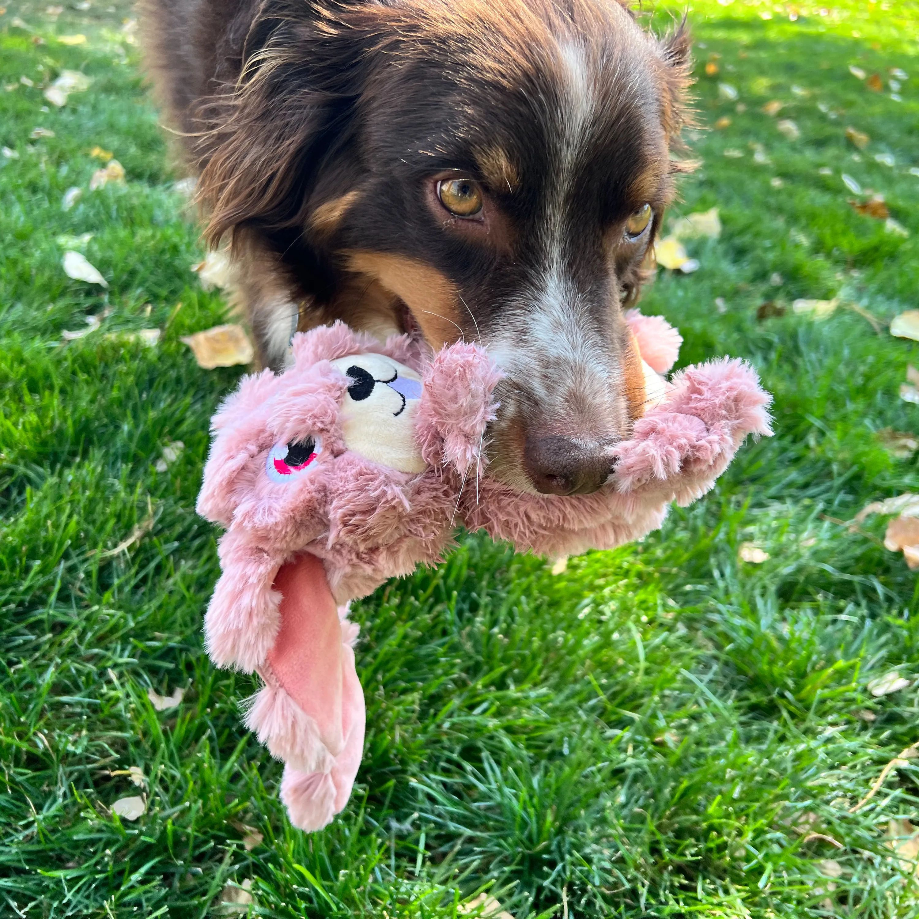 Kong Scrumplez Bunny Medium
