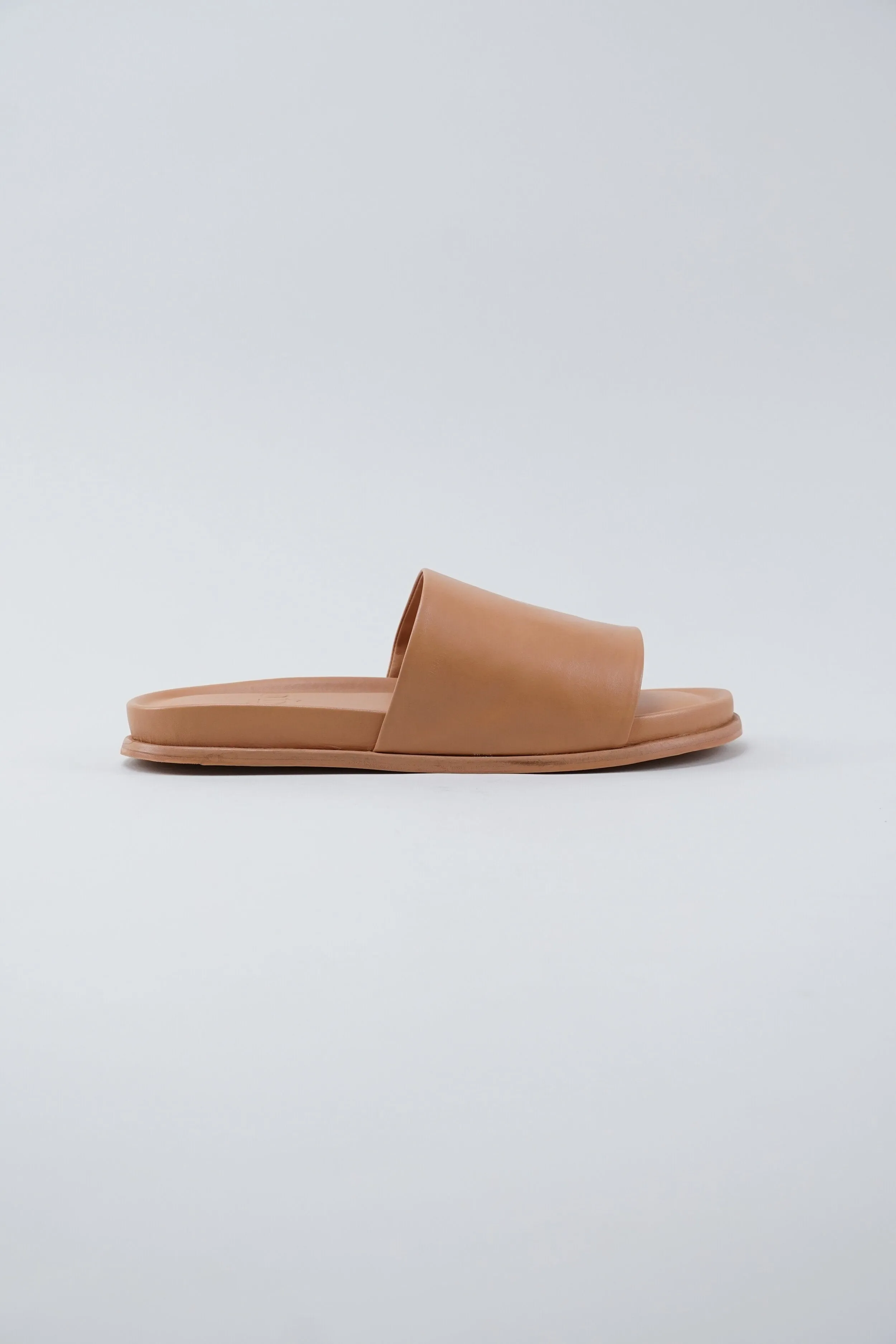 Standard Slide - Camel