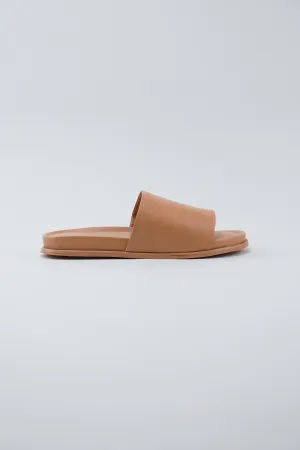 Standard Slide - Camel